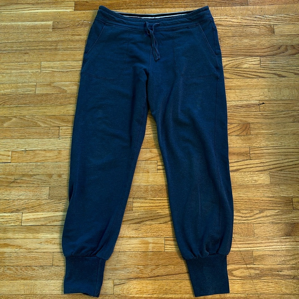 Navy Patagonia jogger sweatpants